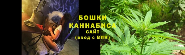 дмт Ессентукская