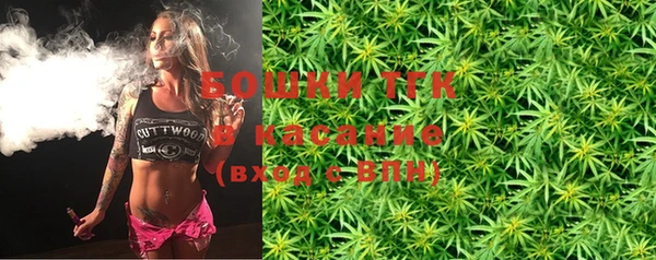 гашик Зерноград