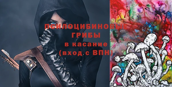 сатива Зеленодольск