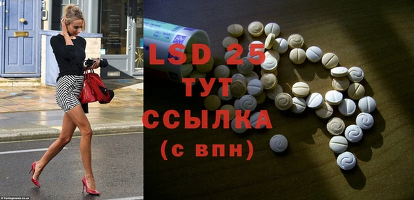 шишки Заводоуковск
