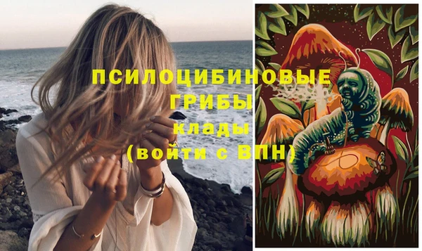 гашик Зерноград