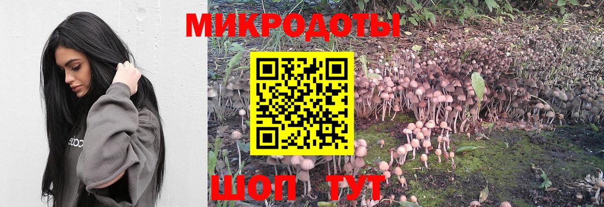 Галлюциногенные грибы Cubensis Углич