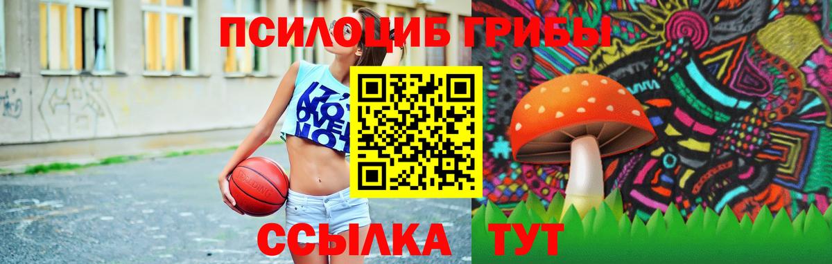 Псилоцибиновые грибы мицелий  Вход с VPN  Углич 